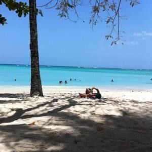 Meet your Posher, Lester